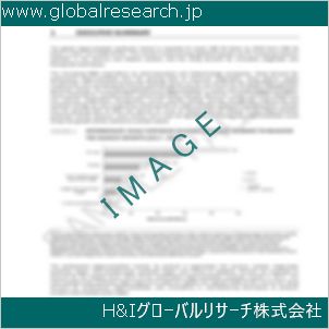 グローバルリサーチ調査資料のイメージ